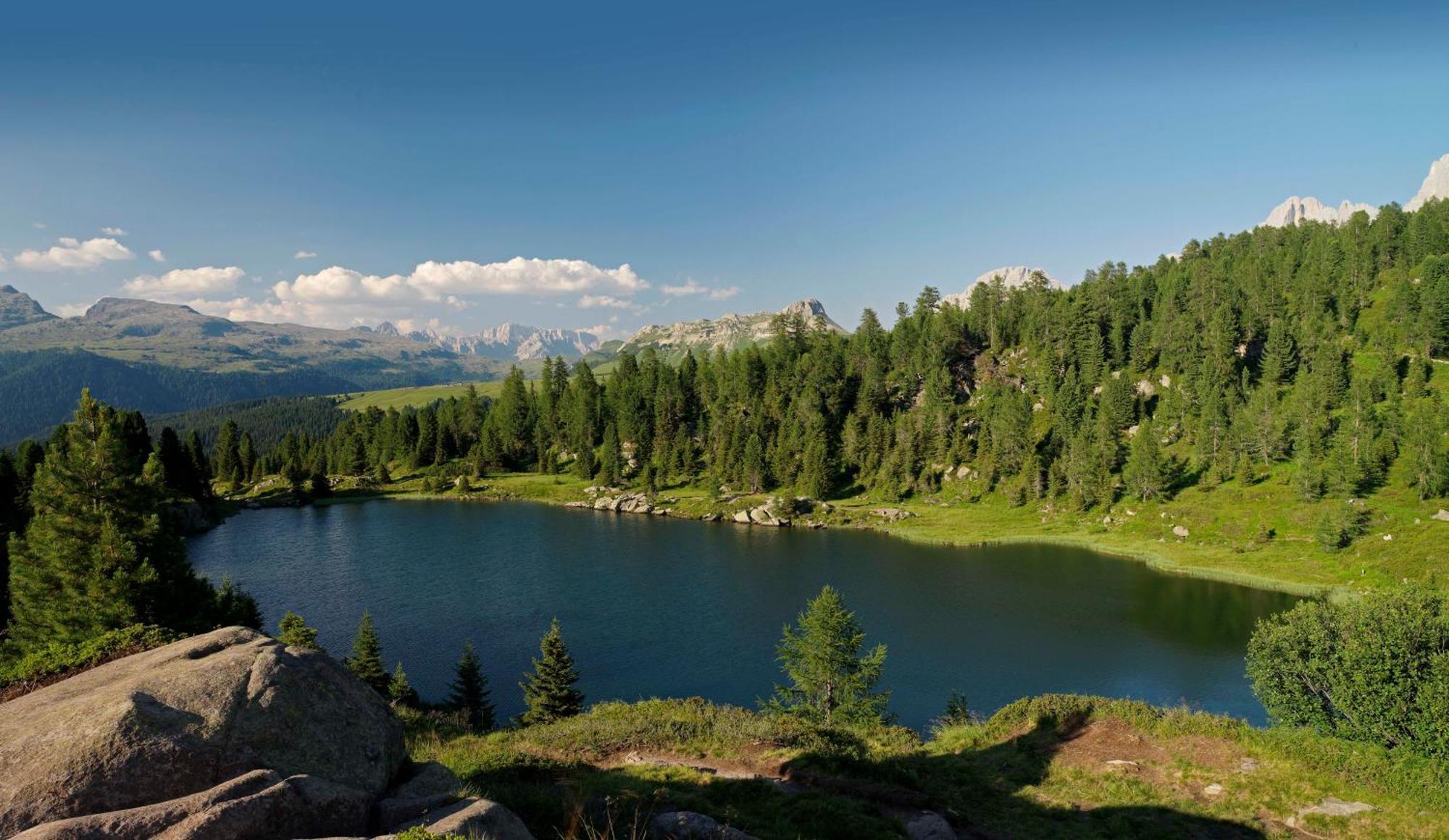 Aparthotel Wellness Villa di Bosco Teser im Fleimtal Exterior foto